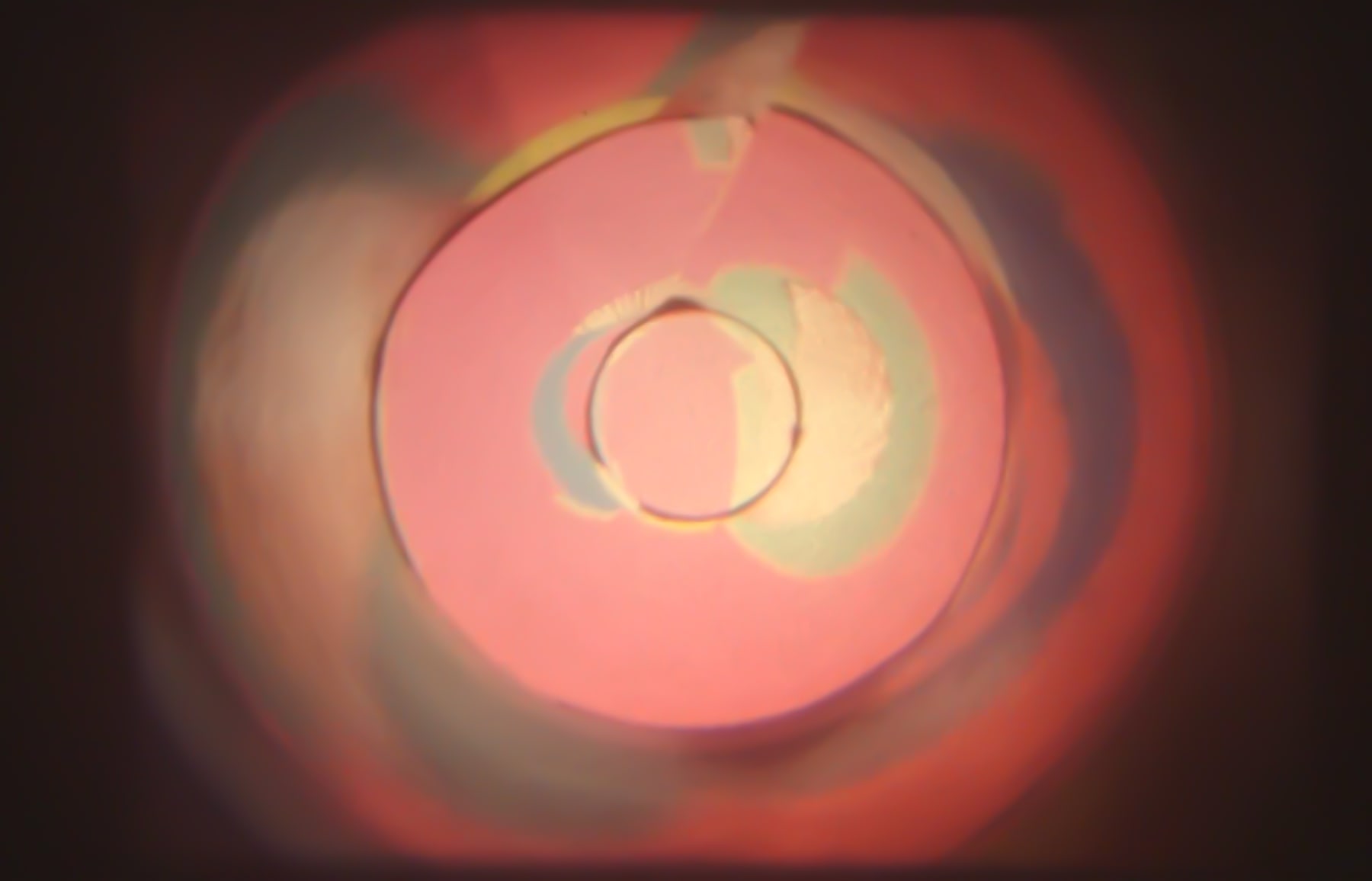 Tony Woods, Clip #1