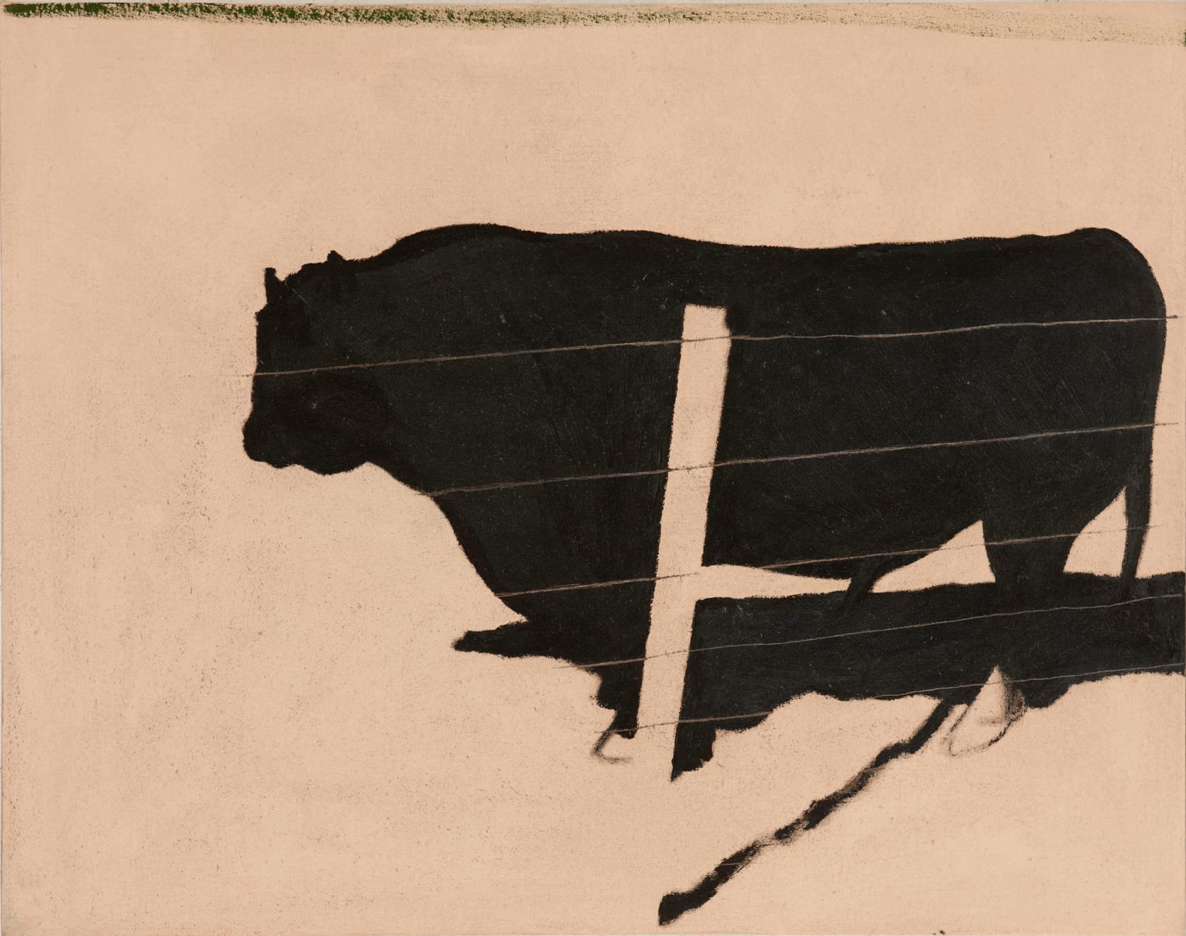 Tony Woods, Tasmanian Bull, 1979