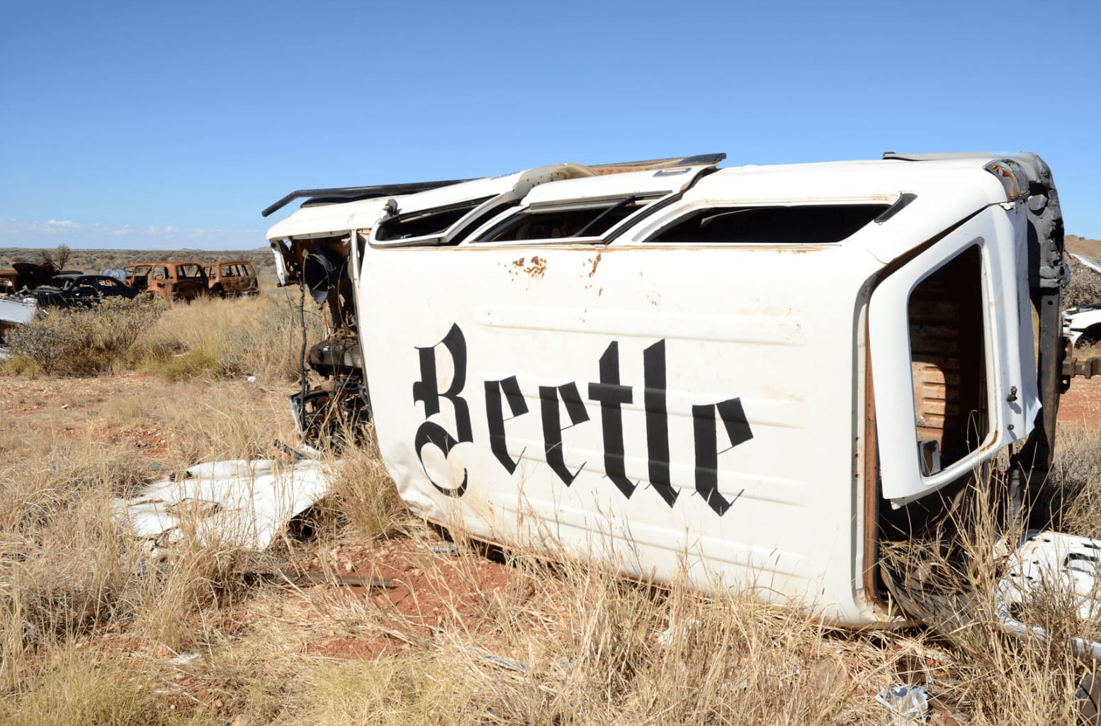 Claire Healy and Sean Cordeiro, Auto Safari (Beetle), 2017