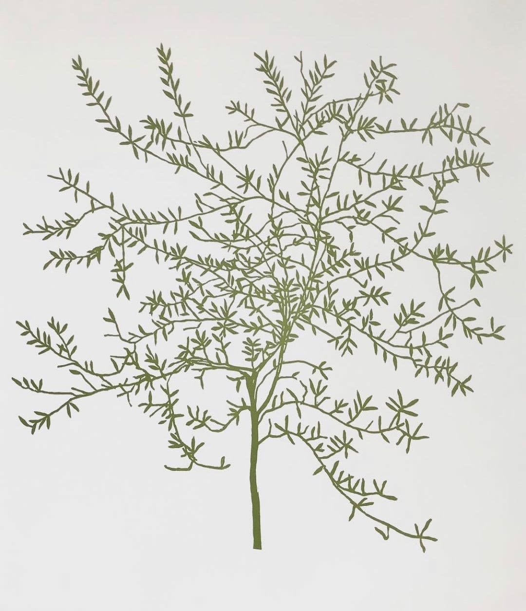 Andrew Carter, Young Olive