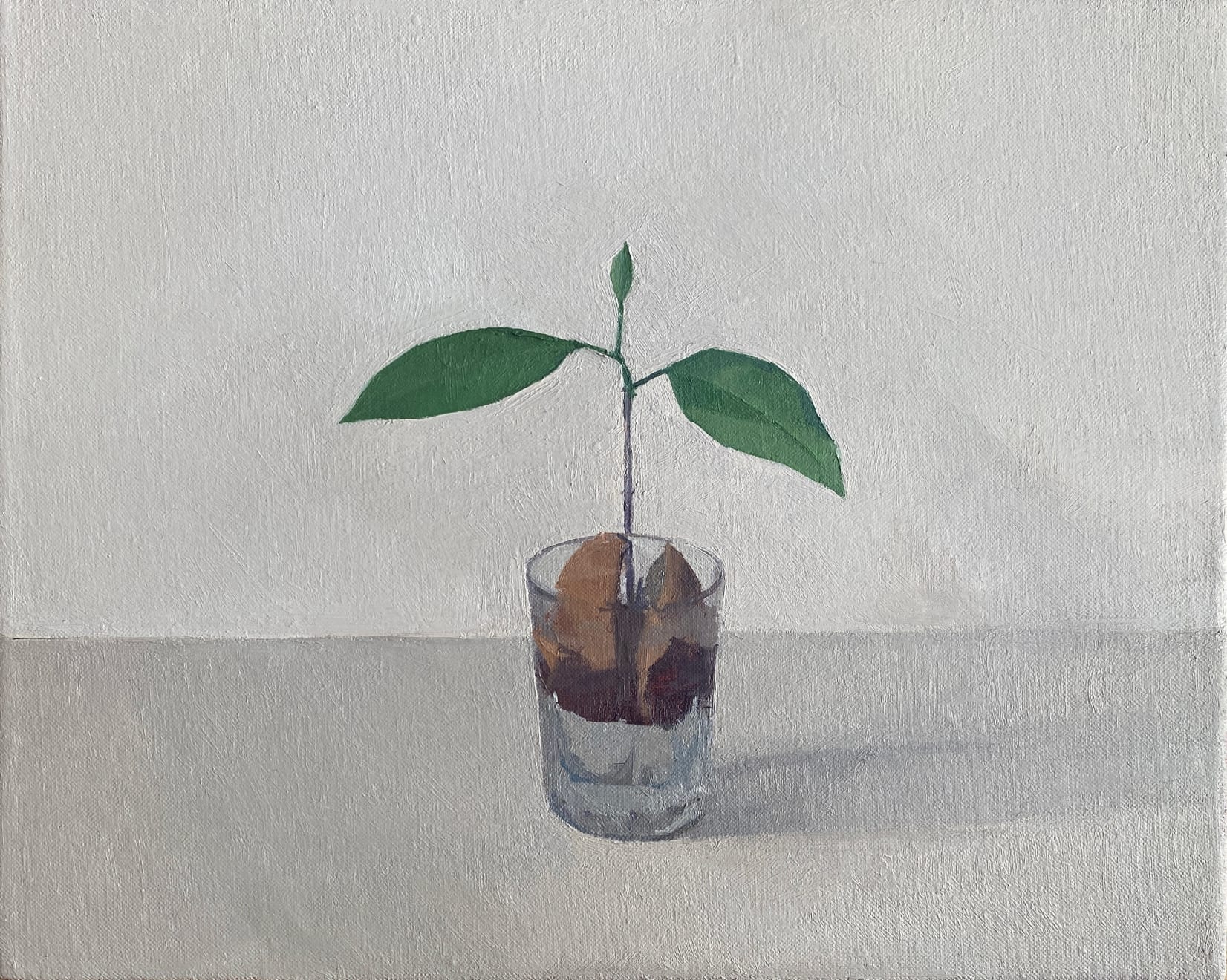 Jason Line, New Year Avocado, 2021