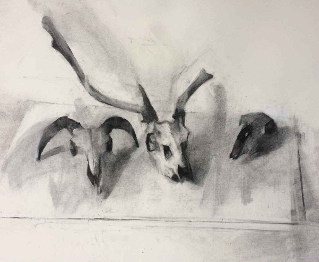 Jason Line, Skulls , 2017