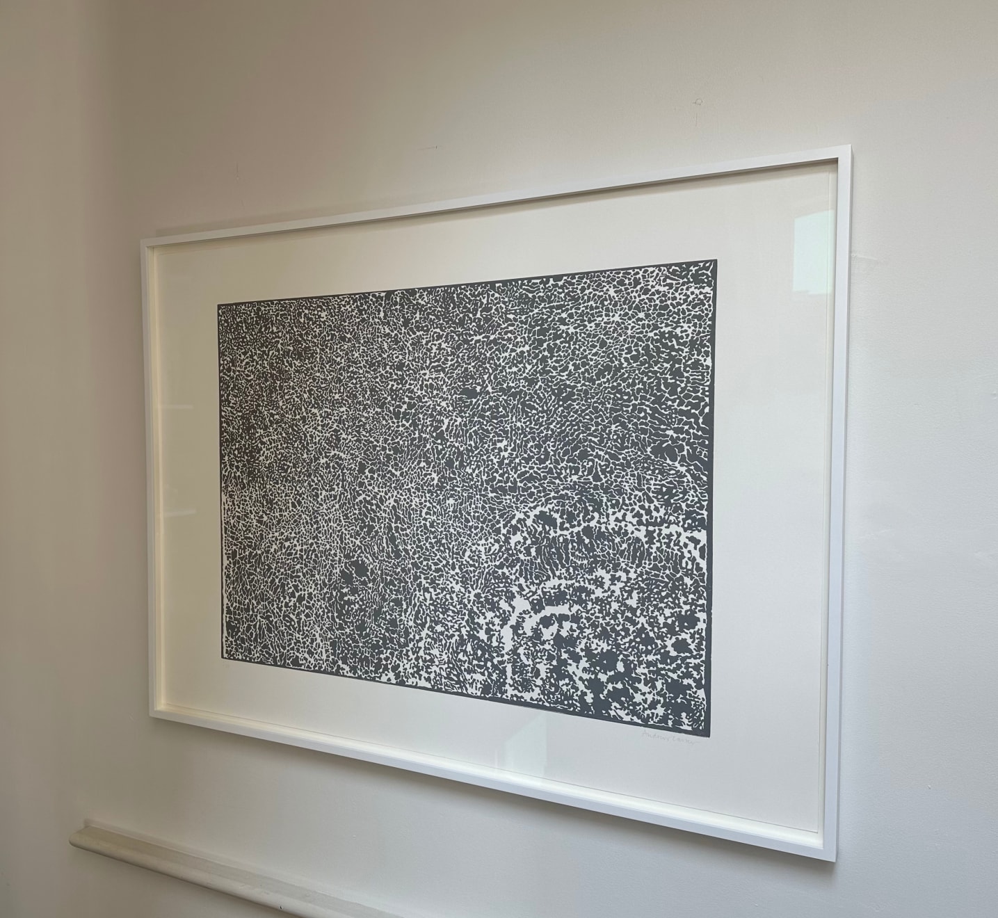 Andrew Carter, Iona, 2022