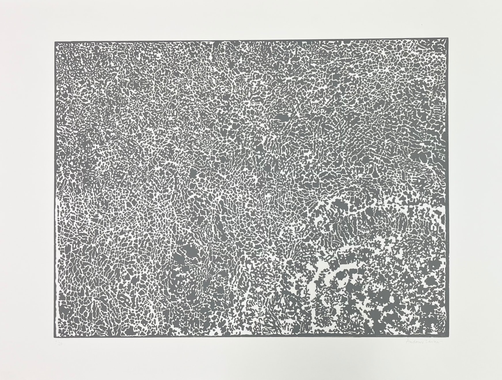 Andrew Carter, Iona, 2022