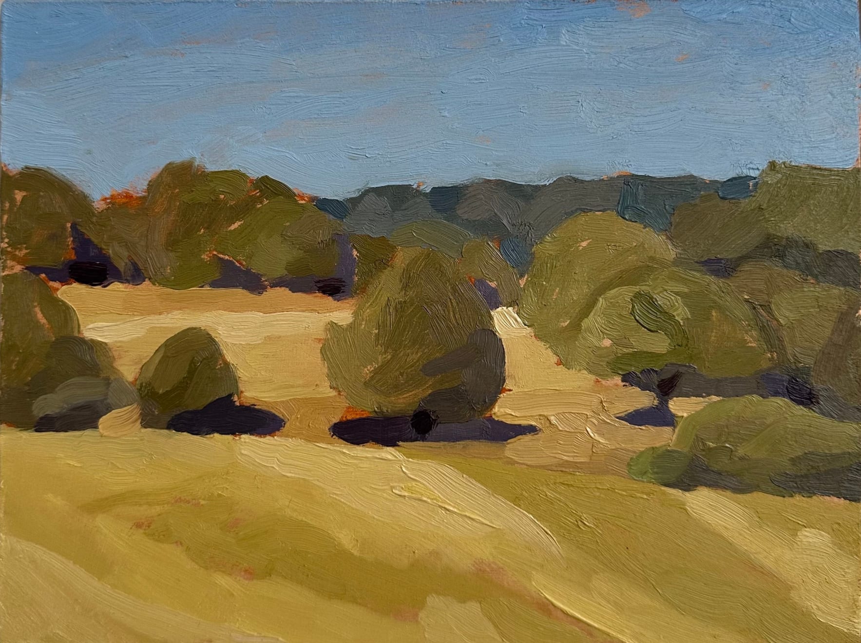 Francis Martin, Summer Fields, 2022