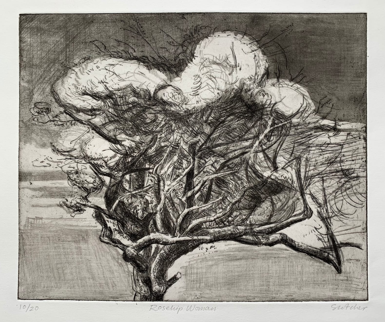 Tom Scotcher, Rosehip Woman, 2023