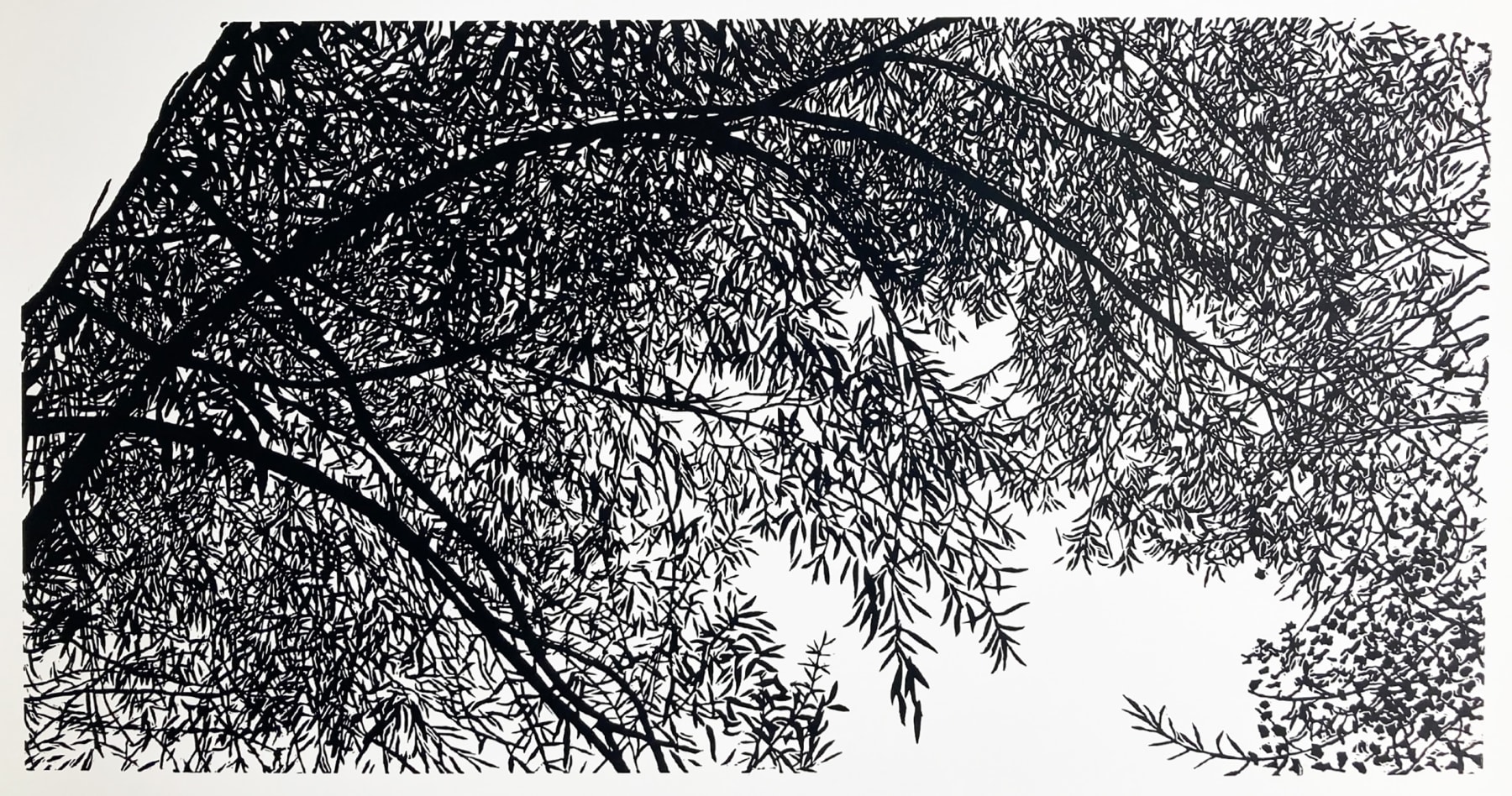 Andrew Carter, The Tree I Fell Out Of