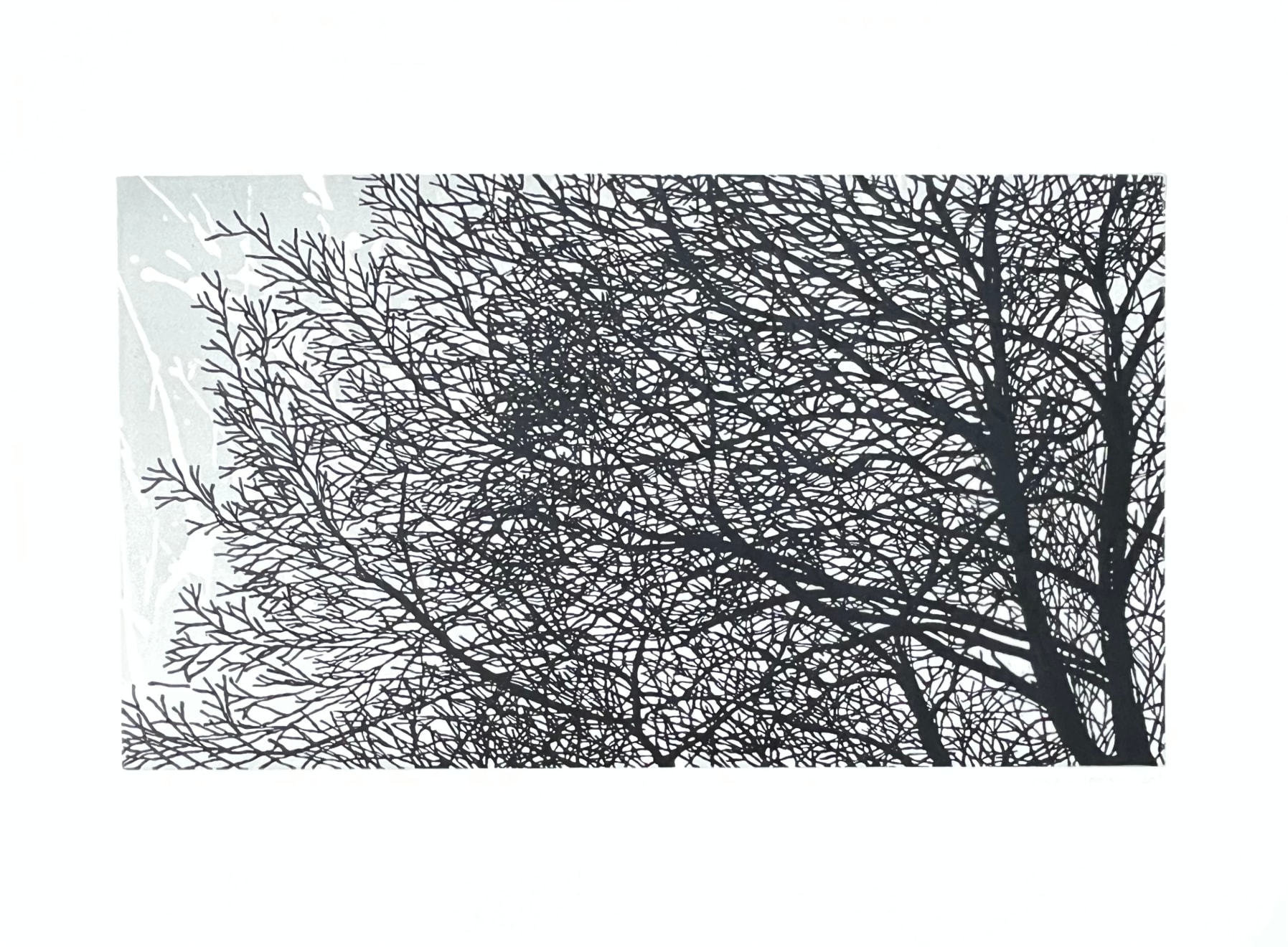 Andrew Carter, Winter Filigree 1