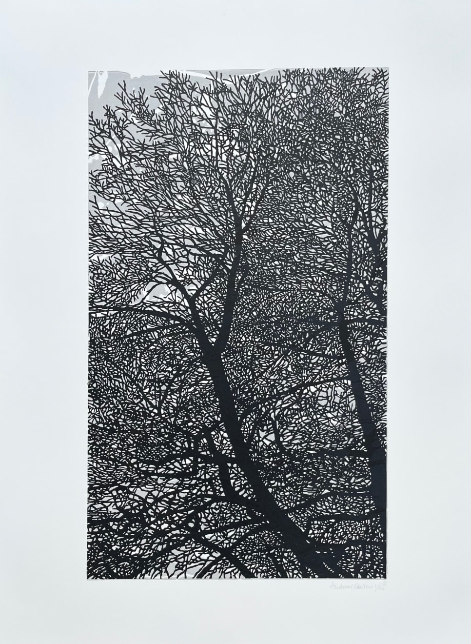 Andrew Carter, Winter Filigree 2