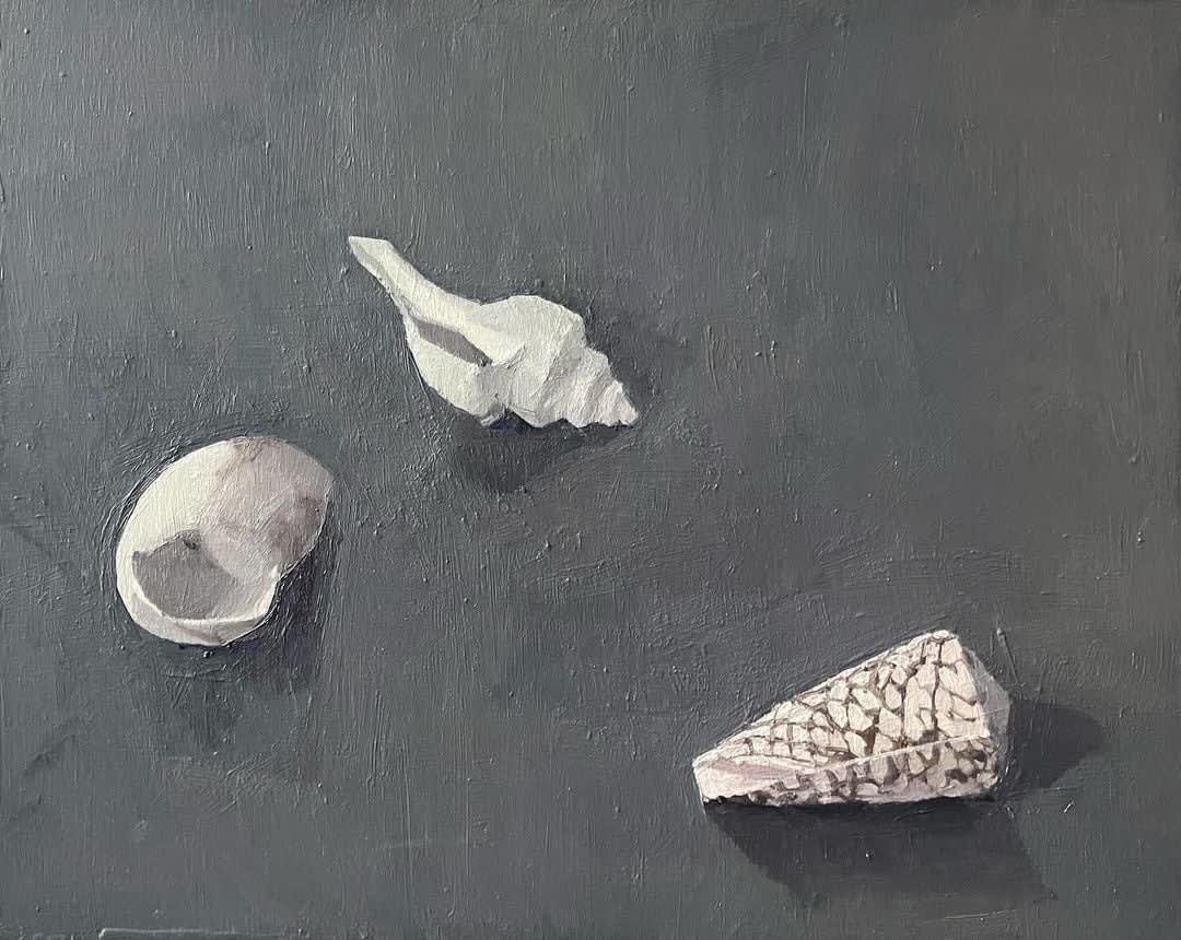 Jason Line, Shells, 2024