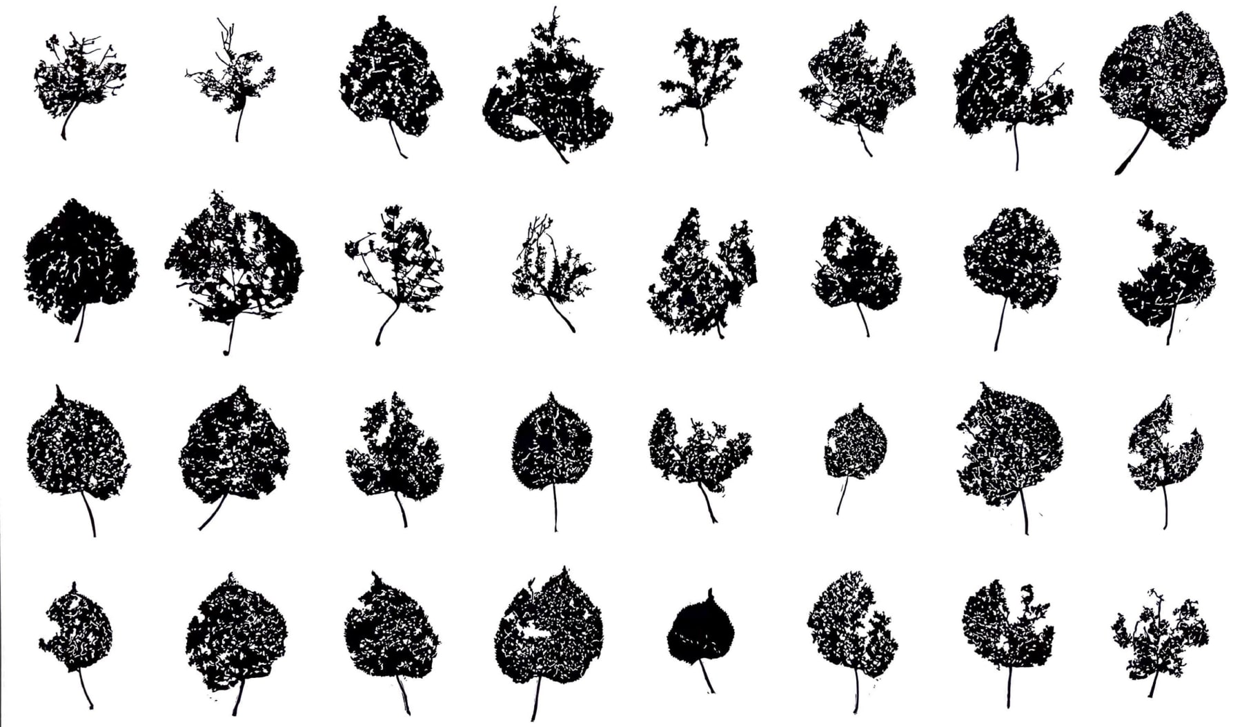 Andrew Carter, All the Days of December