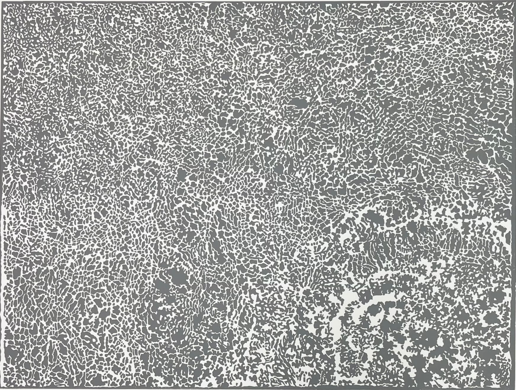 Andrew Carter, Iona, 2022