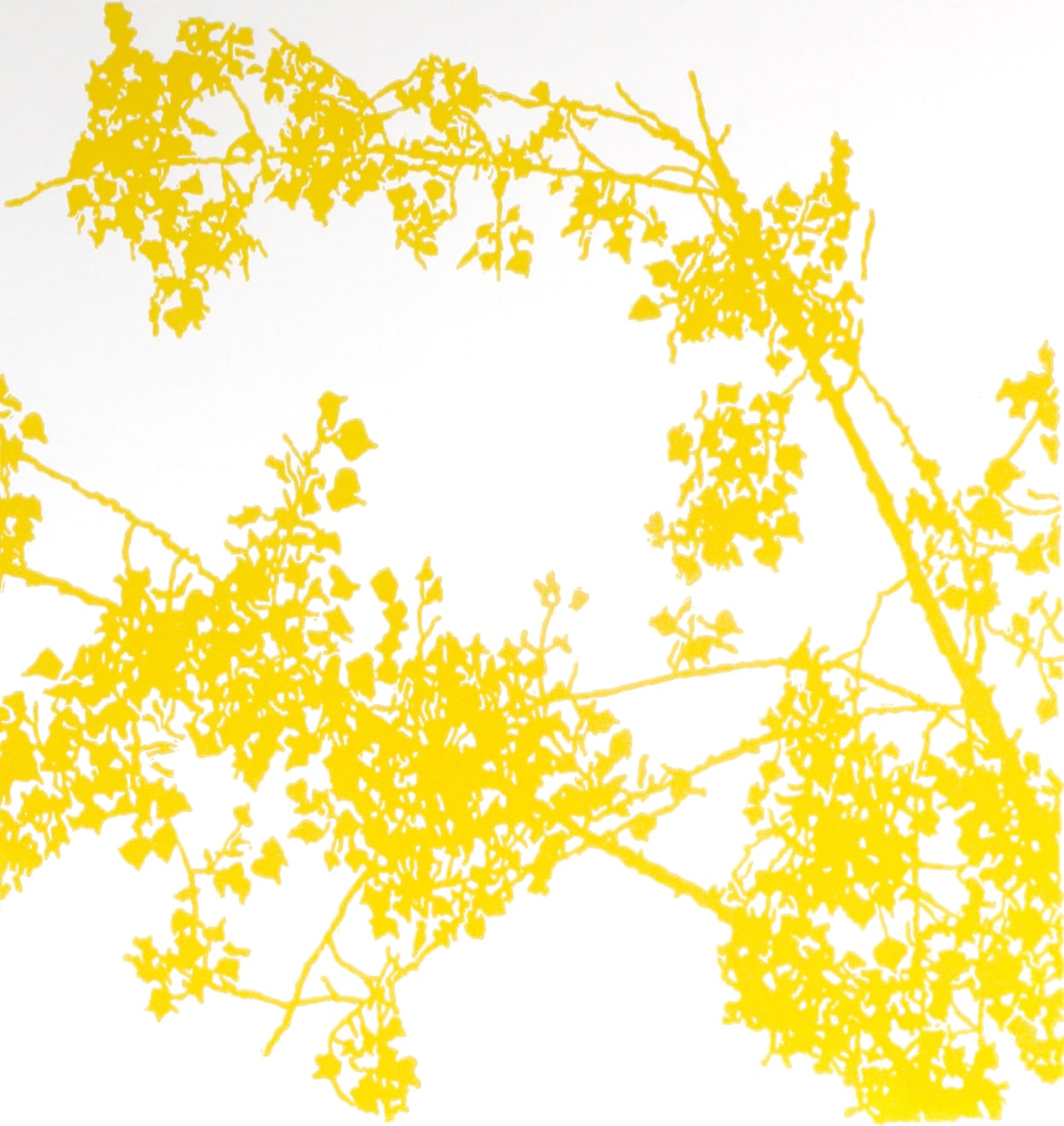 Andrew Carter, Île Saint Louis