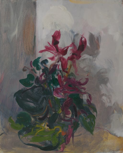 Serena Rowe, Cyclamen in the Afternoon, 2021