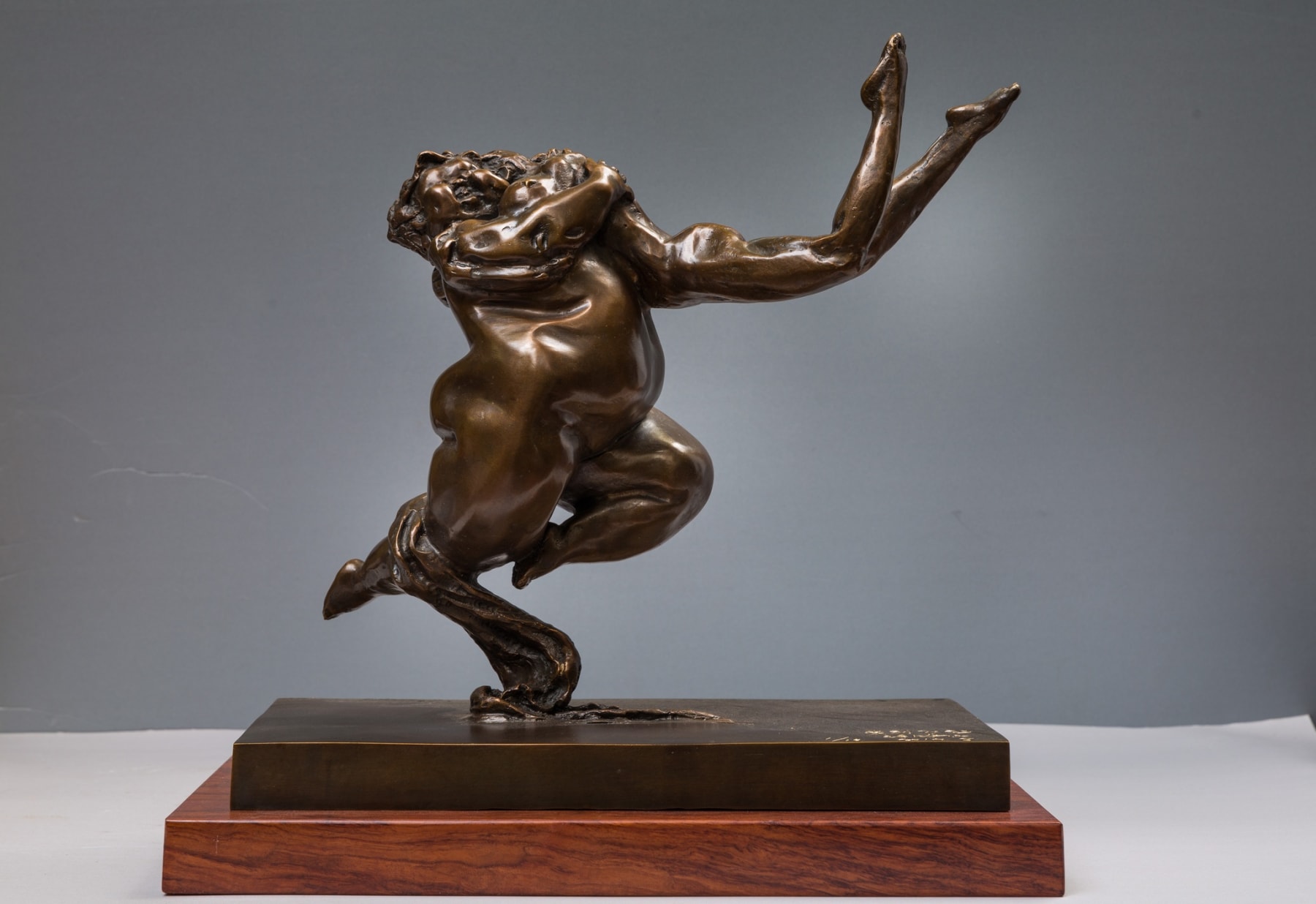 Xu Hongfei 許鴻飛, Fly for Love 愛到飛起, 2014