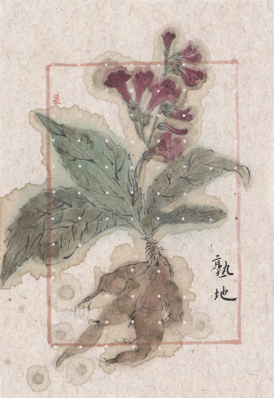 Zhang Yanzi 章燕紫, Moonlight Pills 月華丸, 2014-2015