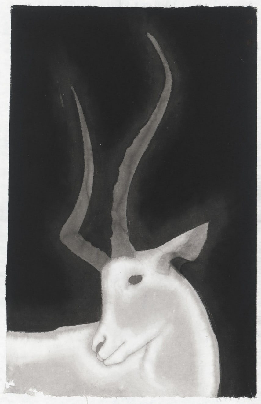 Huang Dan 黃丹, Boundary 界限, 2016