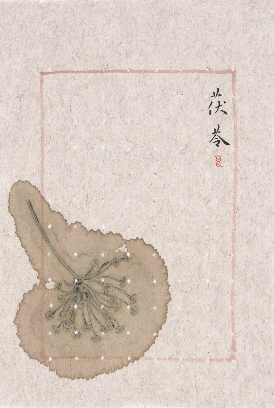 Zhang Yanzi 章燕紫, Angelica and Peony Powder 當歸芍藥散, 2014-2015