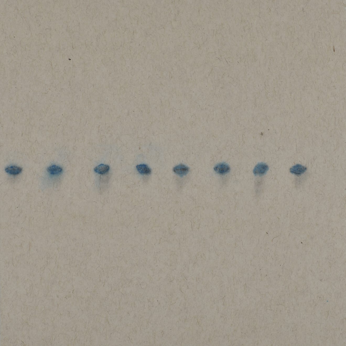 Zhang Yanzi 章燕紫, Registration (145) 掛號 (145), 2014