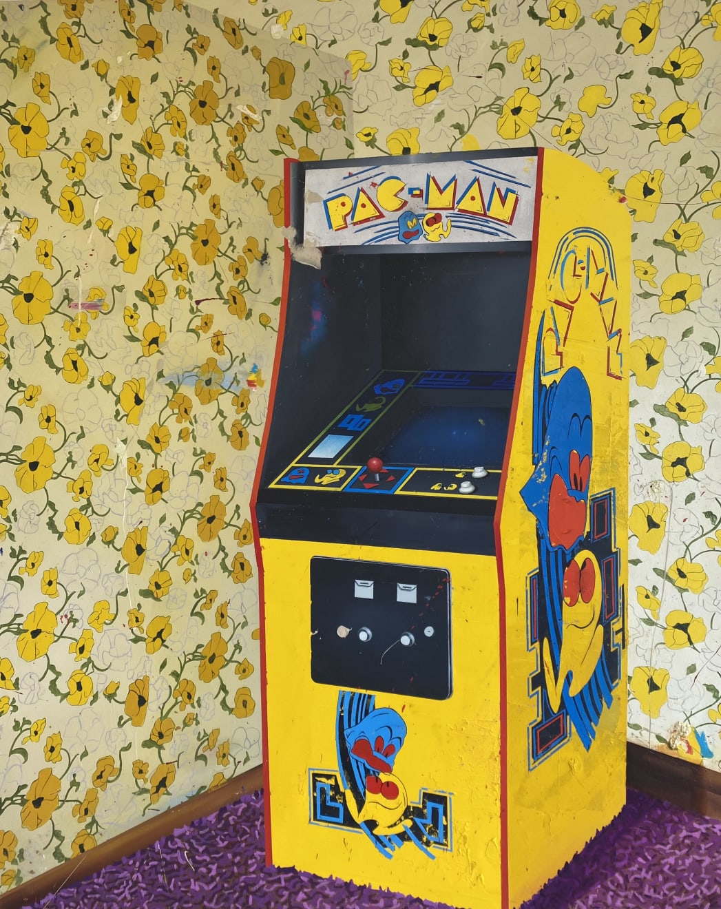 Stephen Thorpe, To Die is to go into the Collective Unconscious, 2020