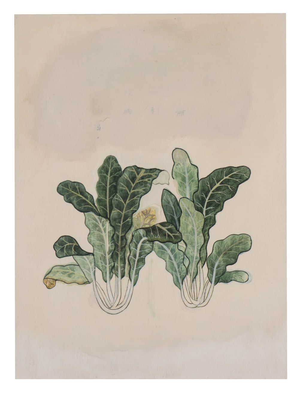 Halley Cheng 鄭哈雷, The Lui's solution of concocted herbal - Chinese cabbage 雷公炮製.菘菜, 2016