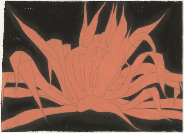 Huang Dan 黃丹, Plant of the Century 龍舌蘭, 2017