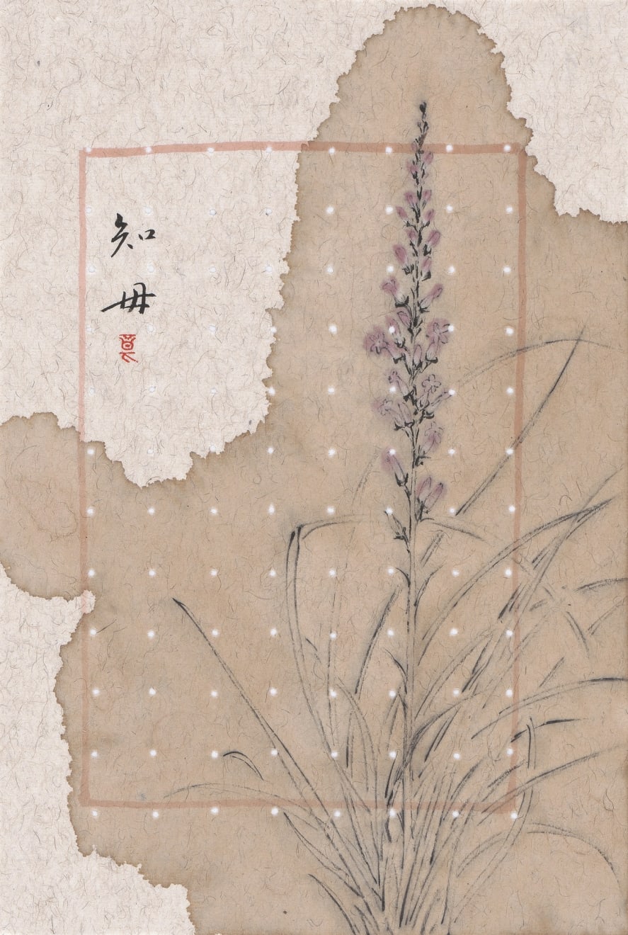 Zhang Yanzi 章燕紫, Jiuku Decoction 救苦湯, 2014-2015