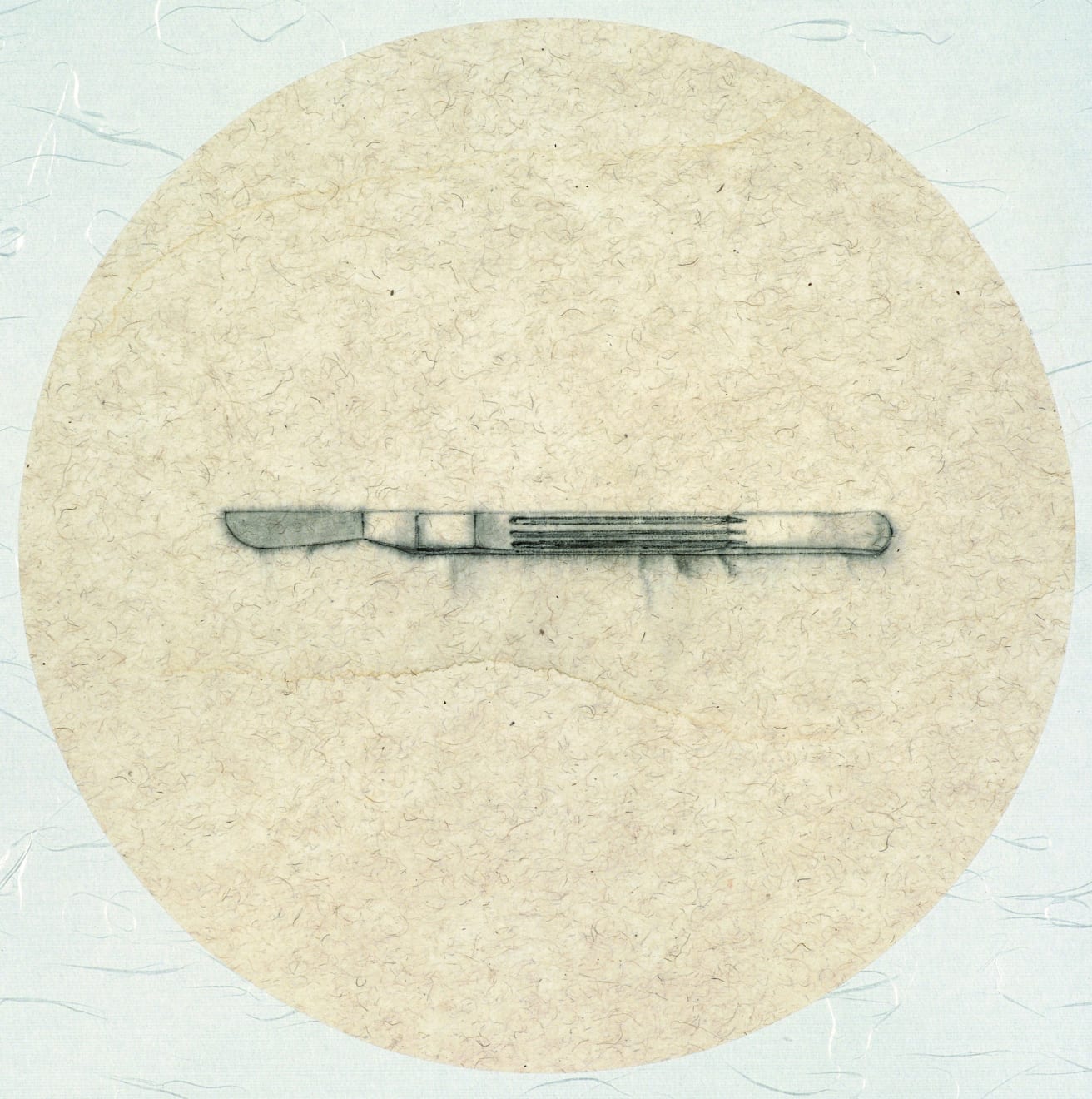 Zhang Yanzi 章燕紫, Registration (2) 掛號 (2), 2009-2013