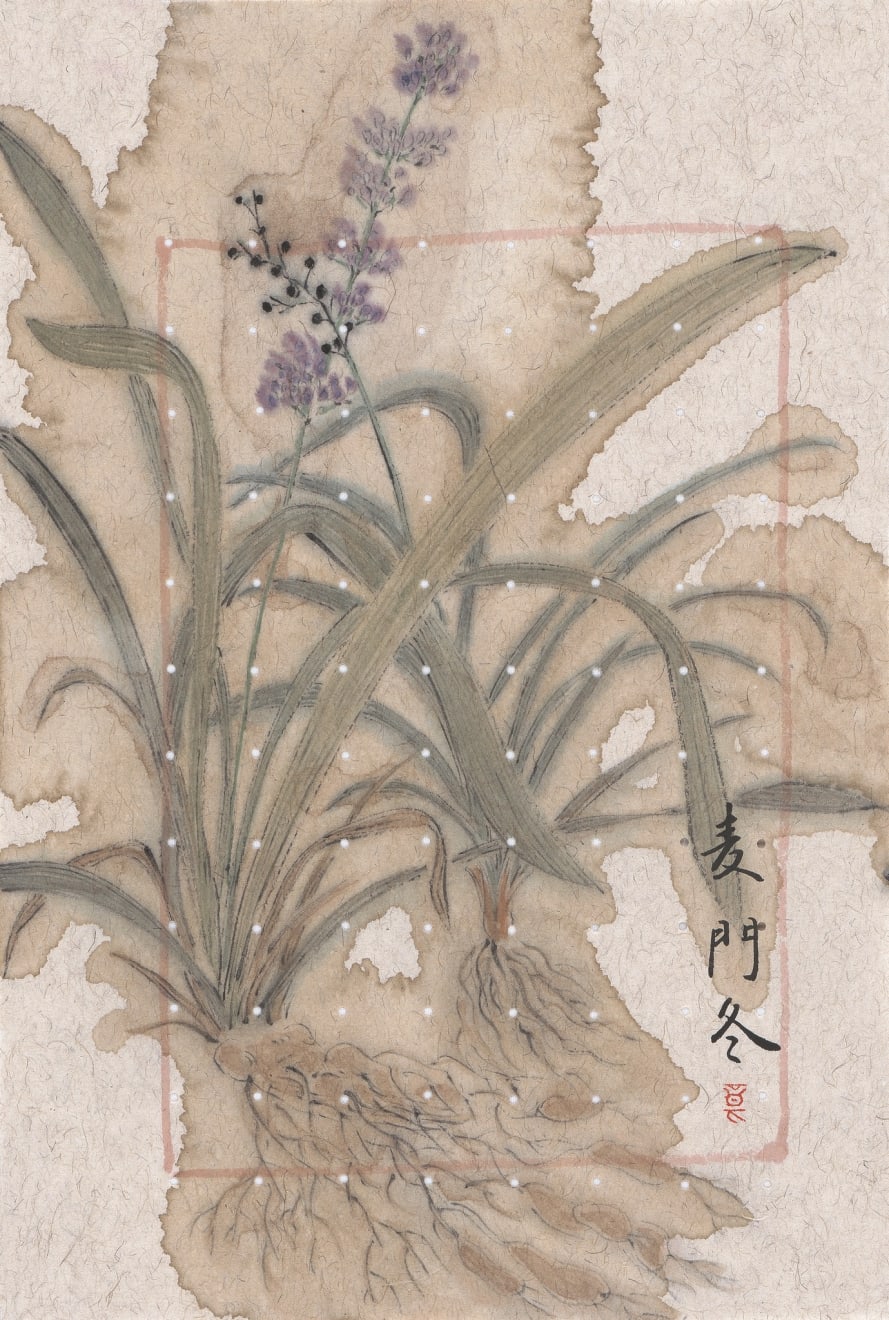 Zhang Yanzi 章燕紫, Emperor's Tea Pill 天王補心丹, 2014-2015