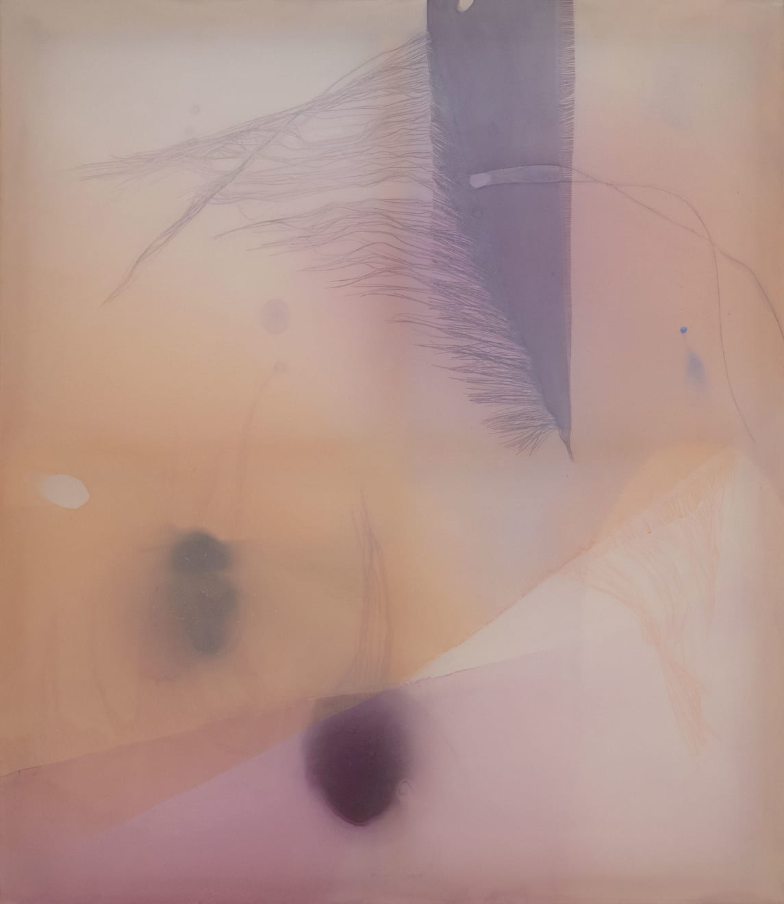 Guo-Liang Tan, Amphibian Wisps, 2020