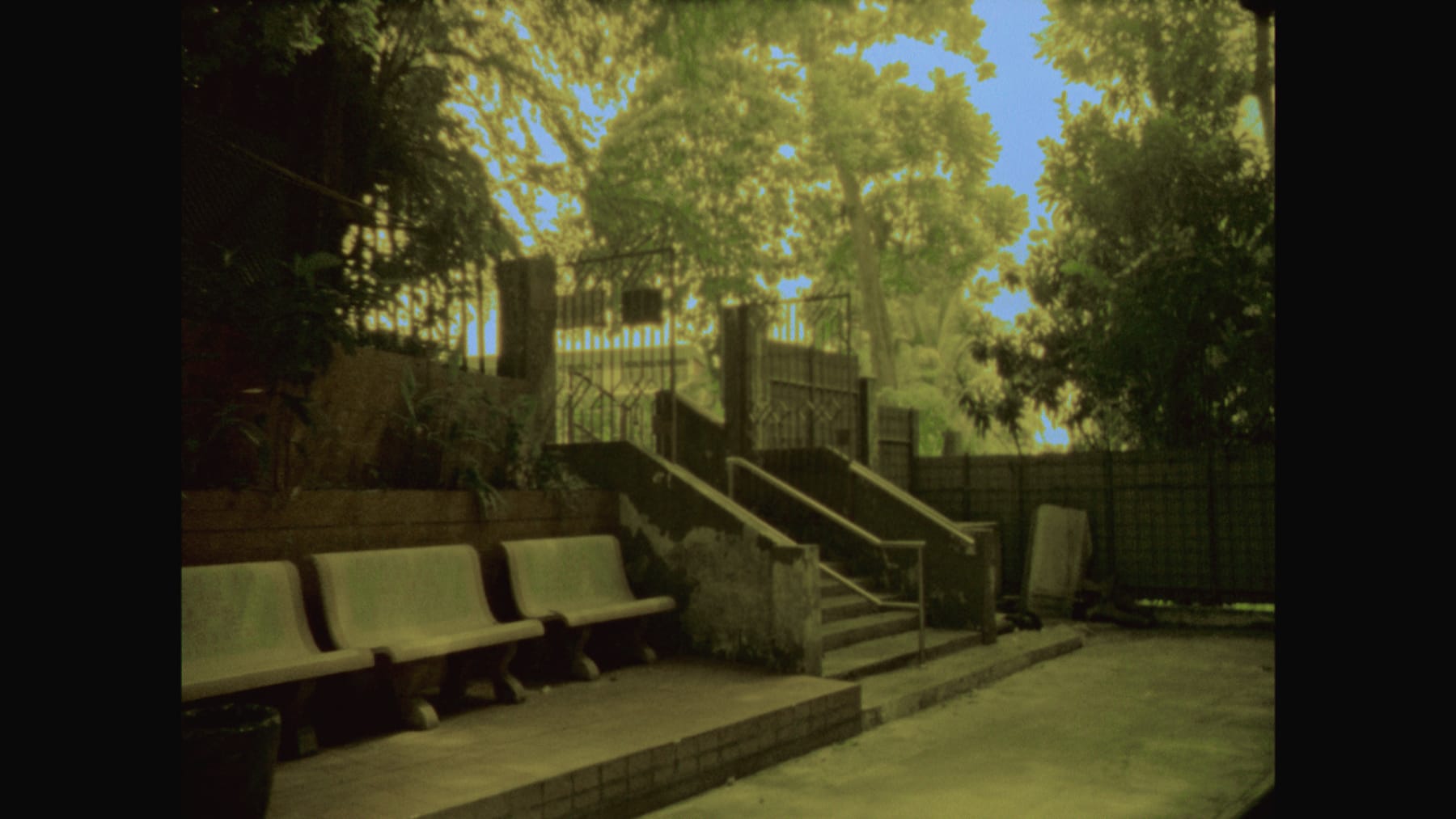 Liao Jiekai, Silent Light, 2015