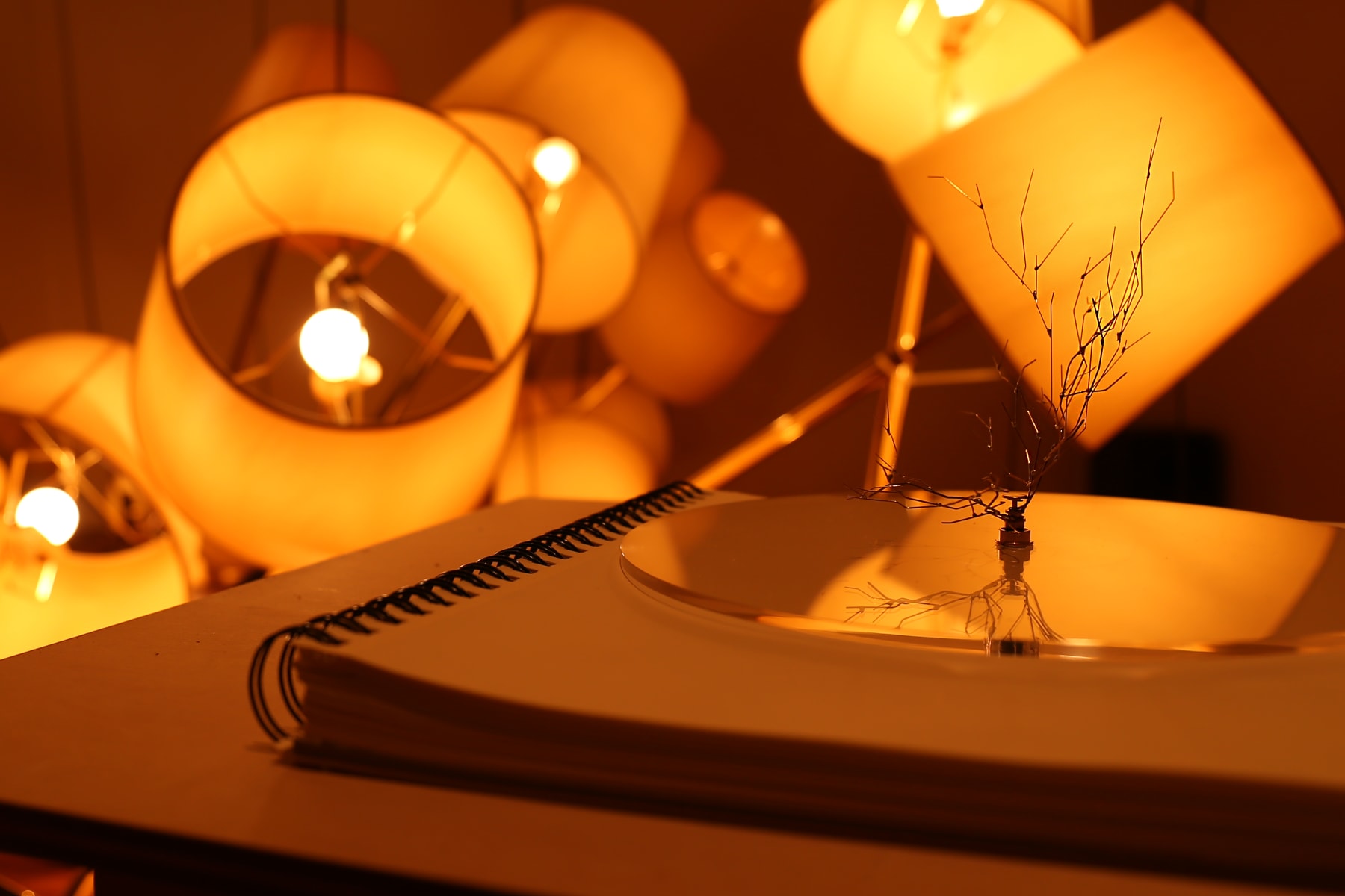 Tsuyoshi Hisakado, FUZZ, 2015