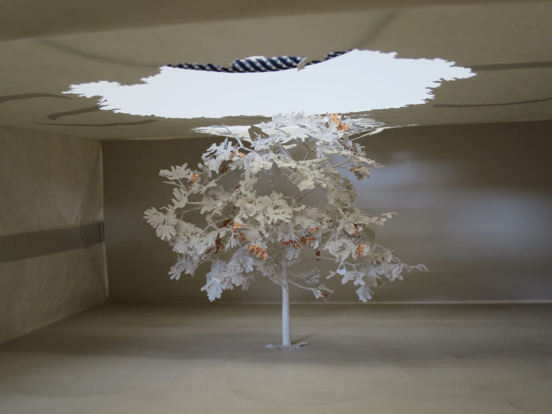 Yuken Teruya, Notice-Forest, 2015 - 2017