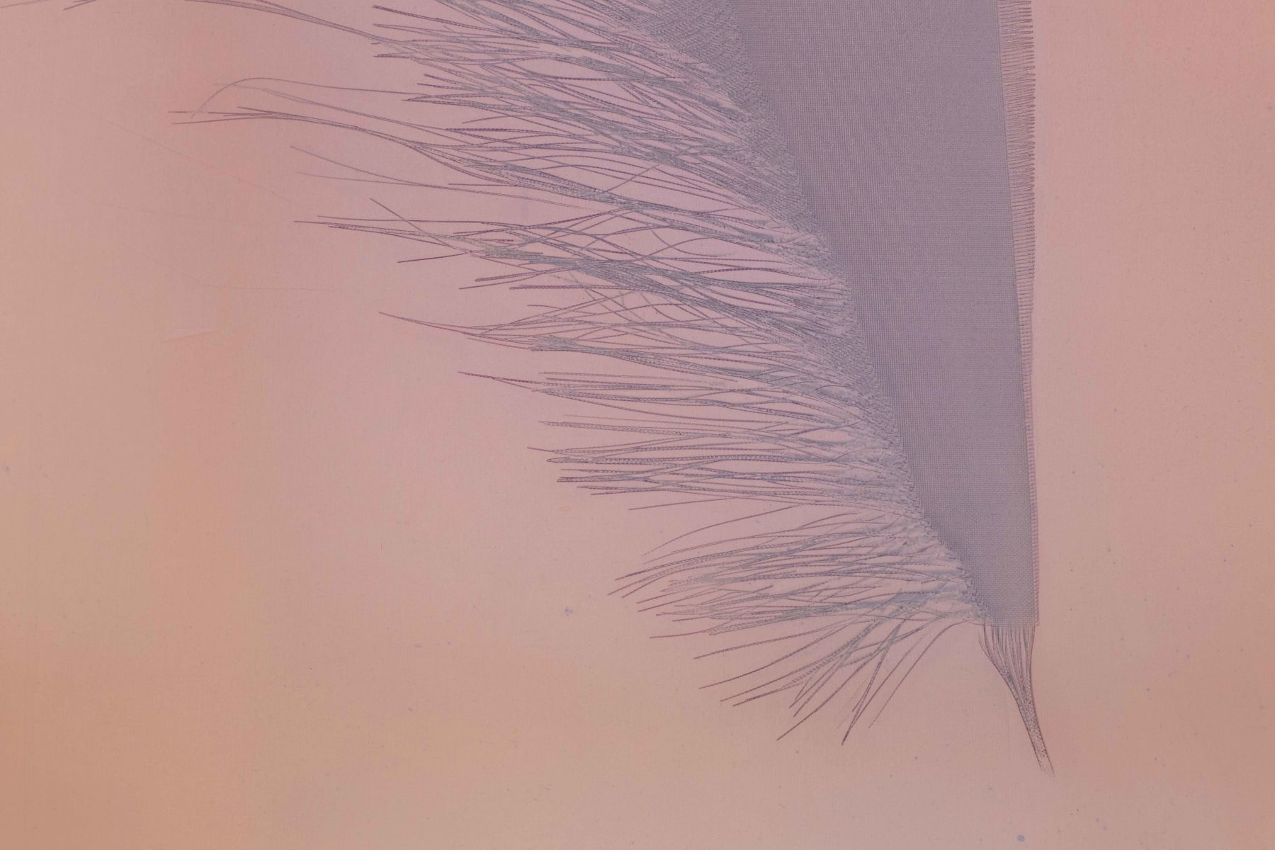 Guo-Liang Tan, Amphibian Wisps, 2020
