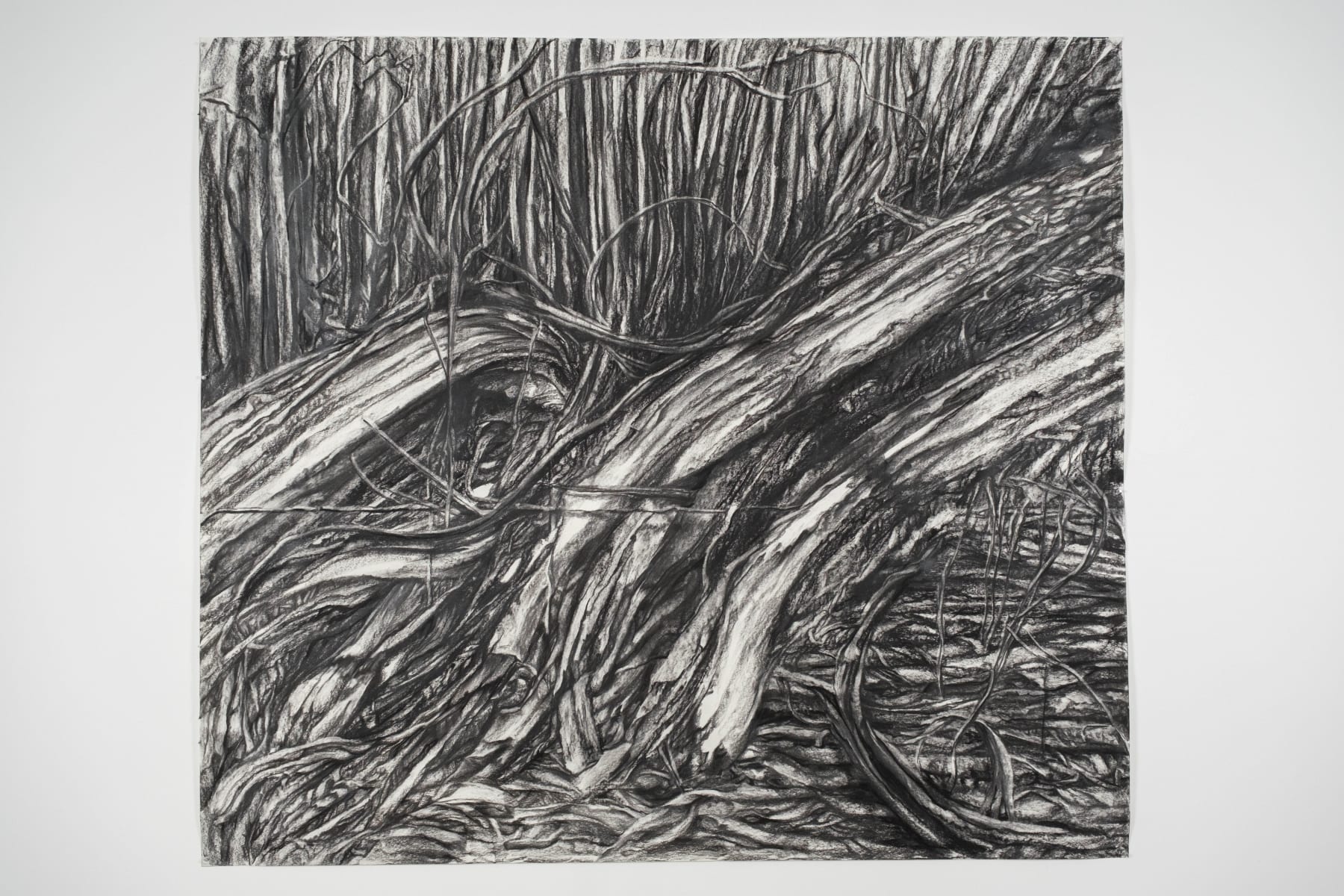 Ron Bechet, Ascension, 2024