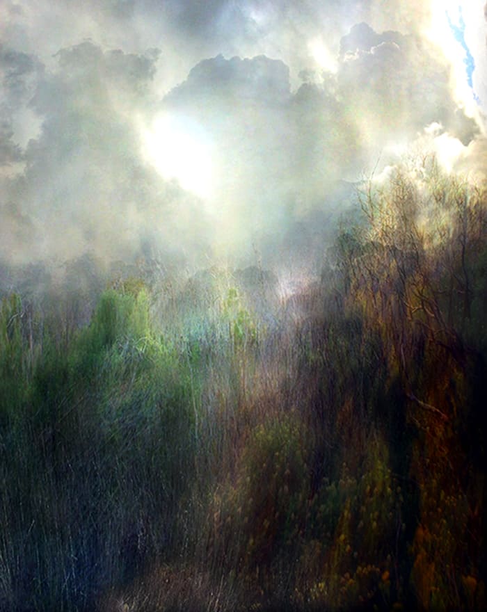 Sophia Szilagyi, View