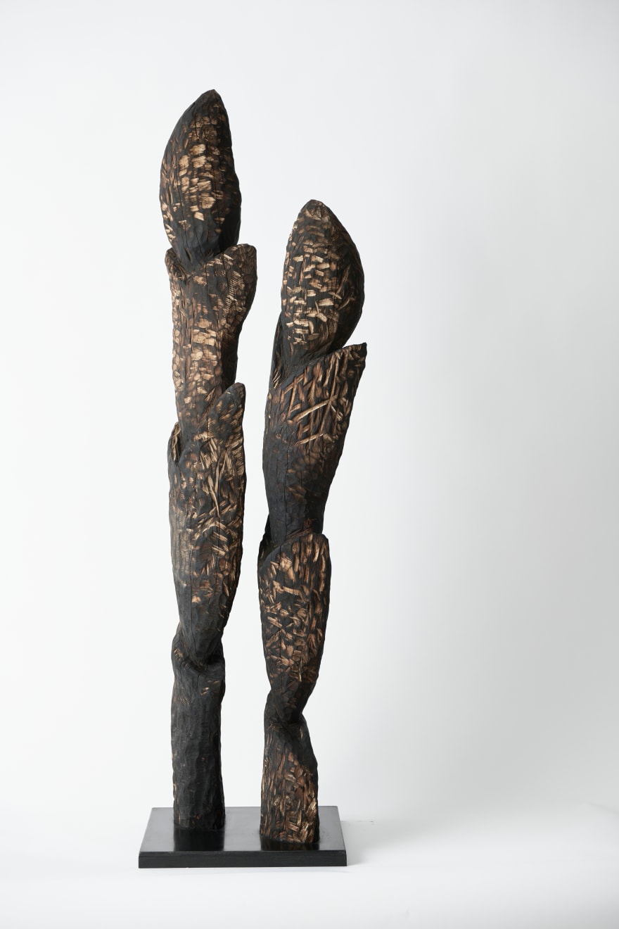 Joel Sorensen, Nocturne