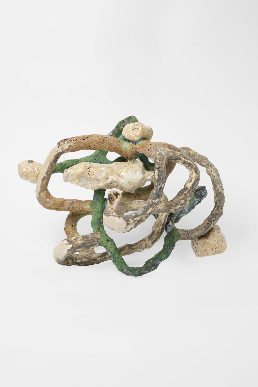 Meg Walters, Porites