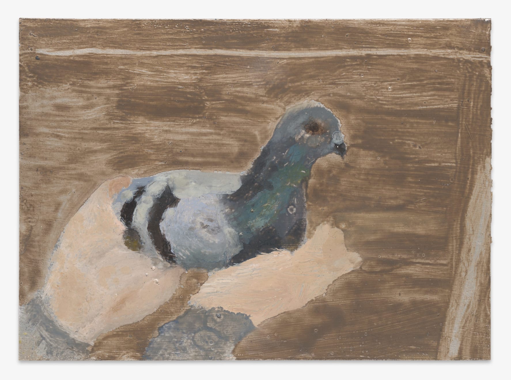 Elynor Smithwick, Instead I looked above