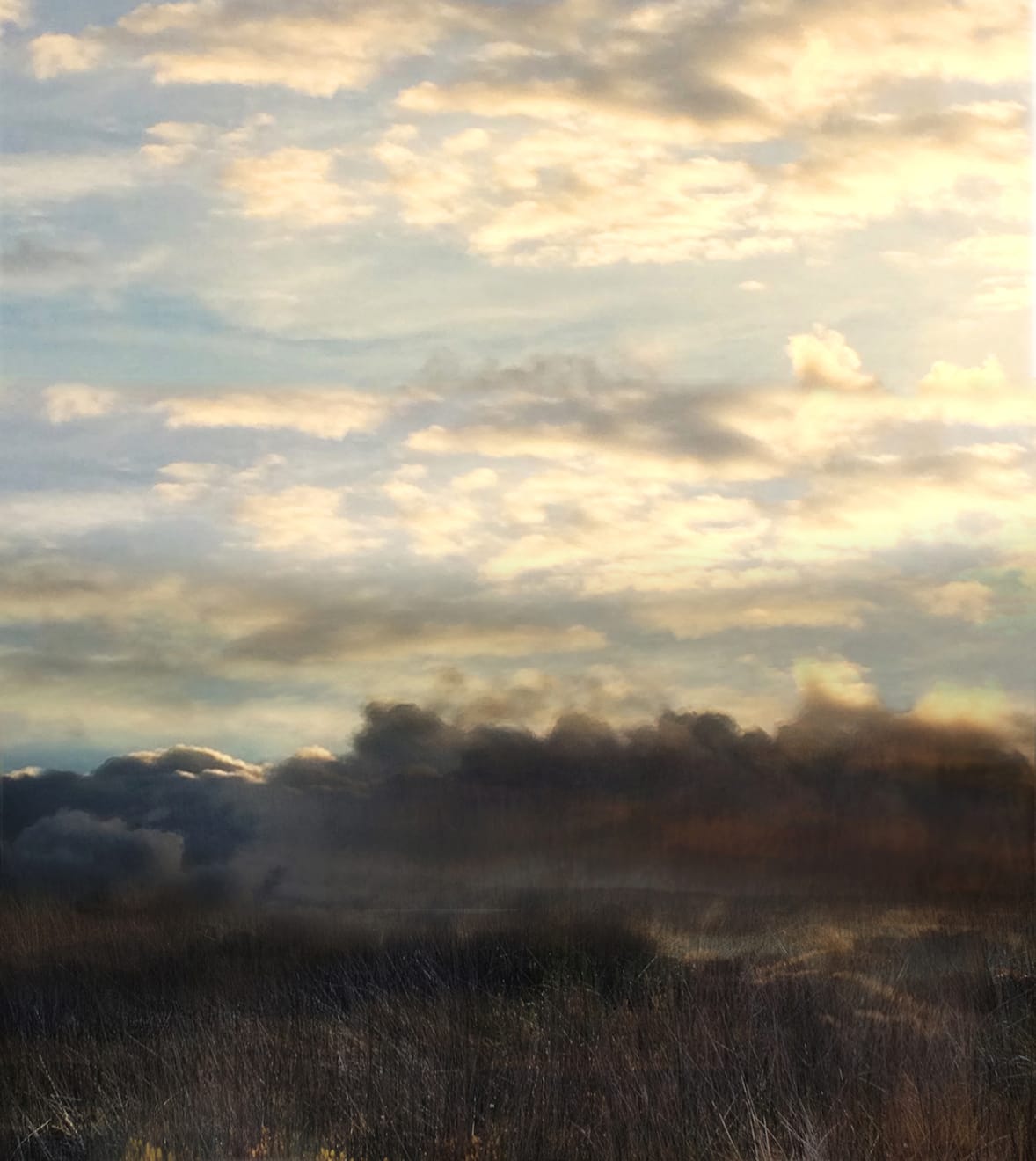 Sophia Szilagyi, Shifting