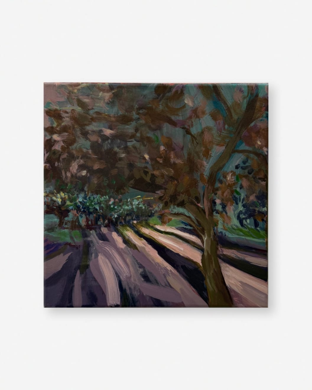 Kathryn Dolby, Long Shadow, Long Light