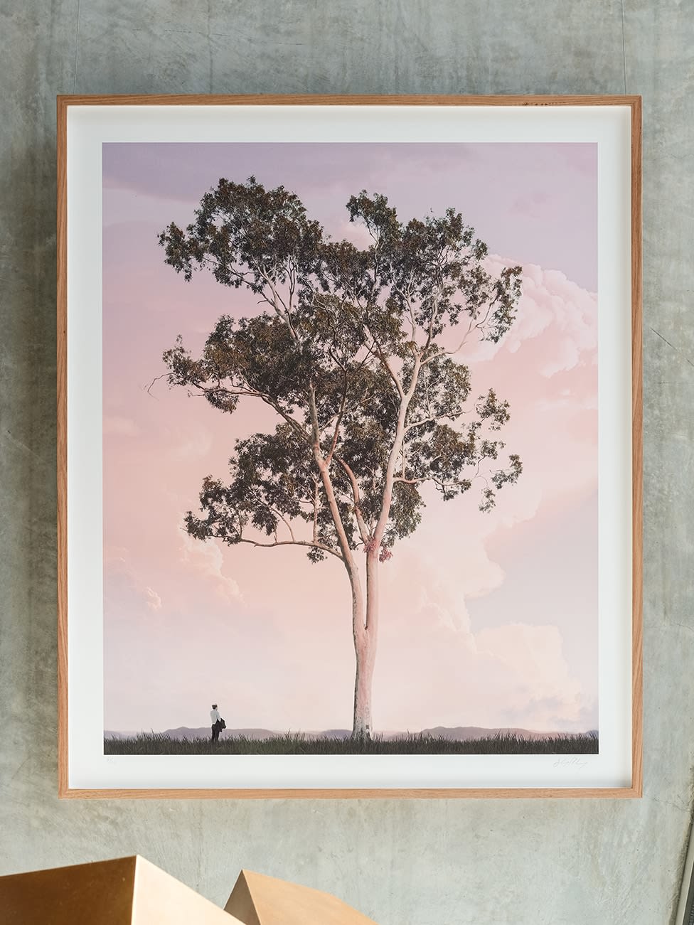 Lindsay Blamey, Morning Tree