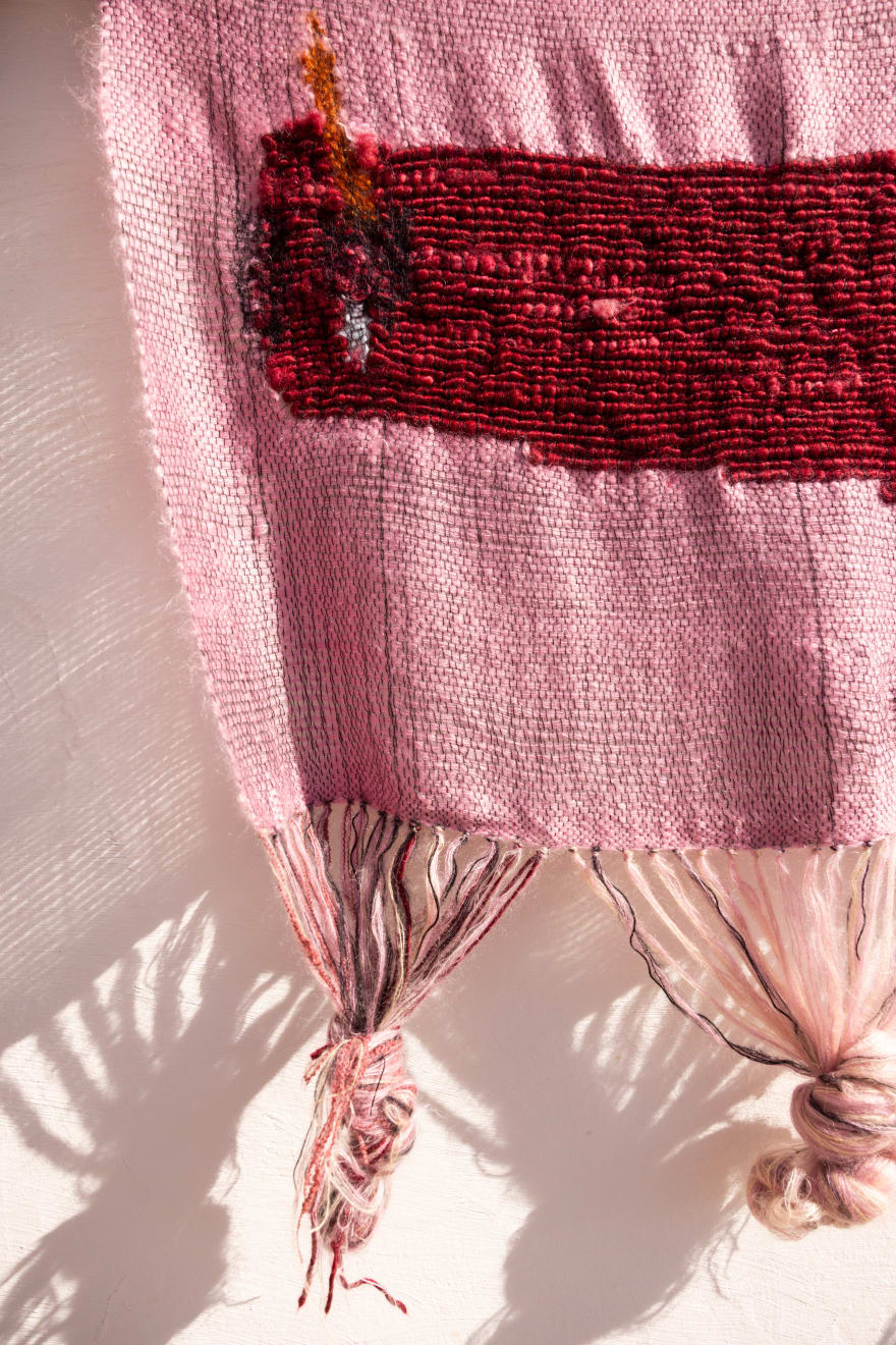 Frances Van Hasselt, A Soft Pink Mirage of a Karoo in Bloom