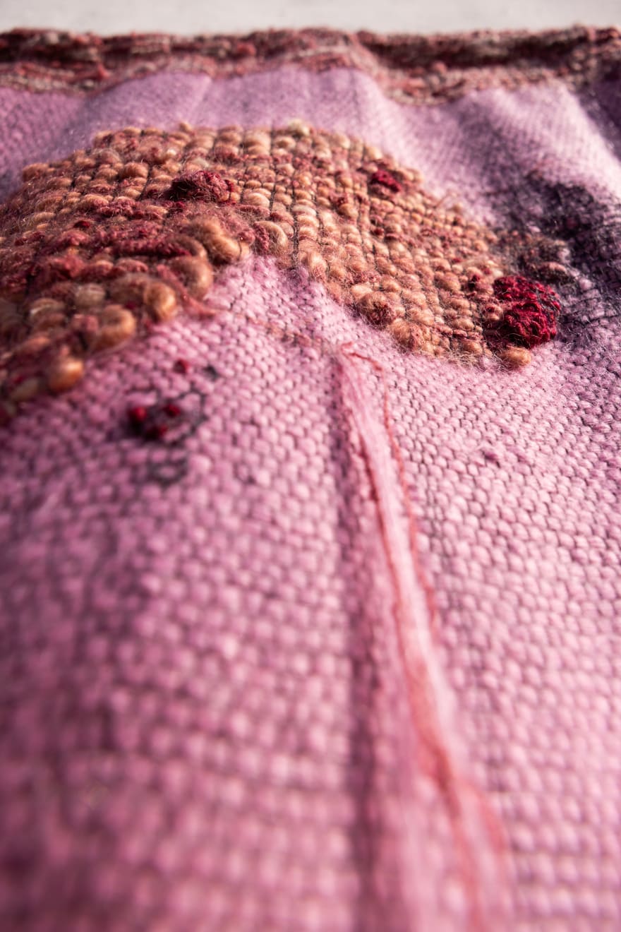 Frances Van Hasselt, A Soft Pink Mirage of a Karoo in Bloom