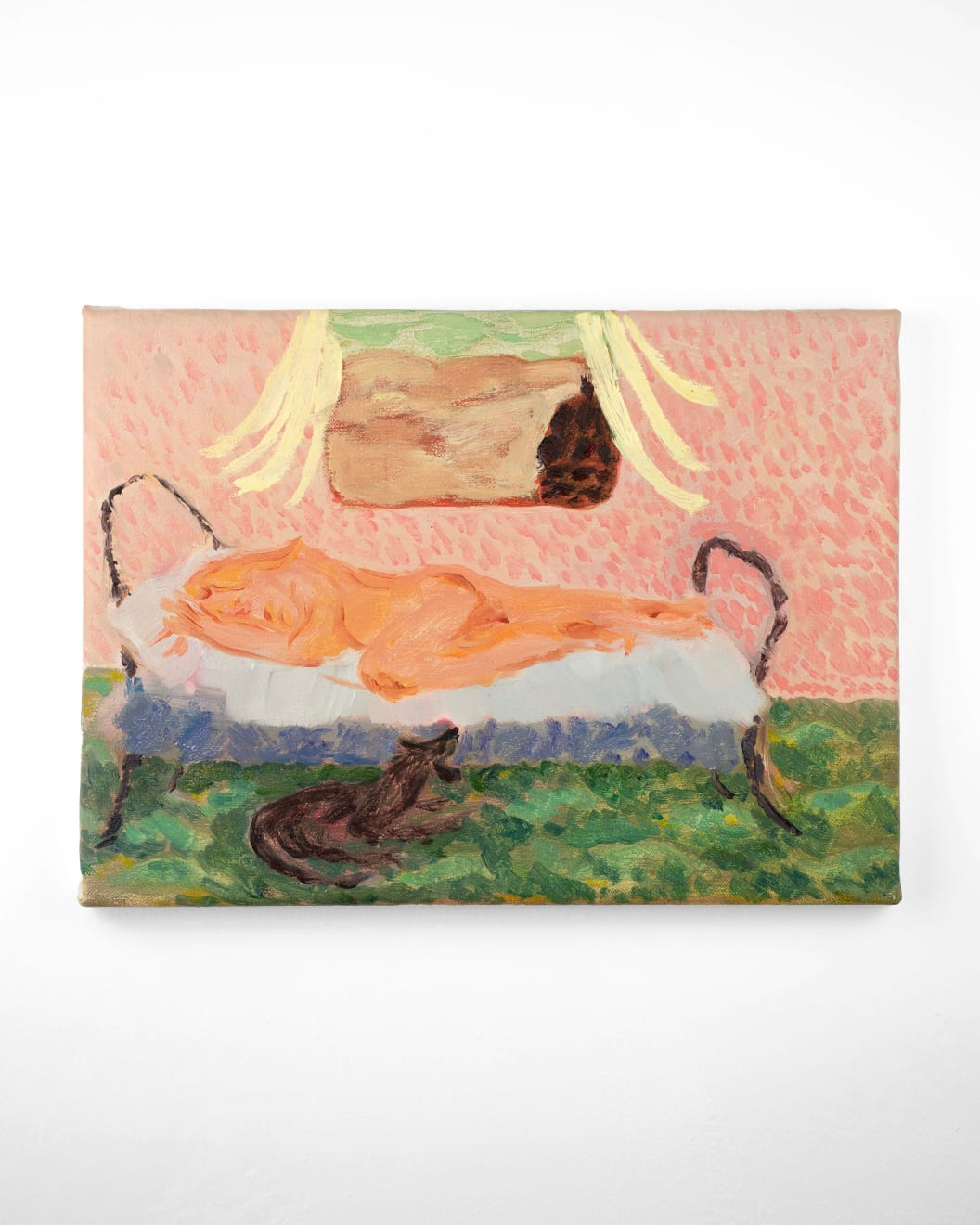 Chica Seal, Two Species at Night