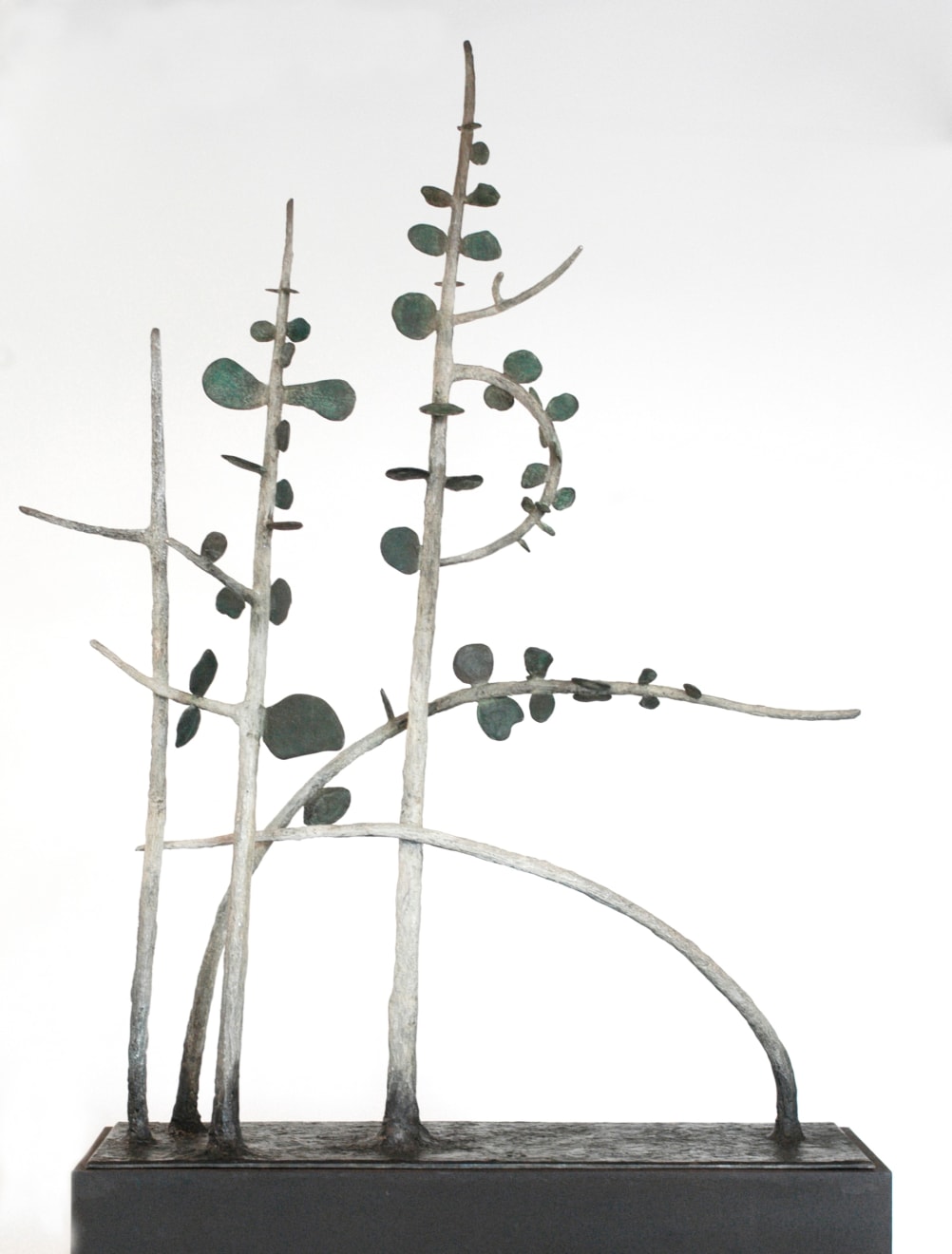 Zoe Amor, Red Box Bush