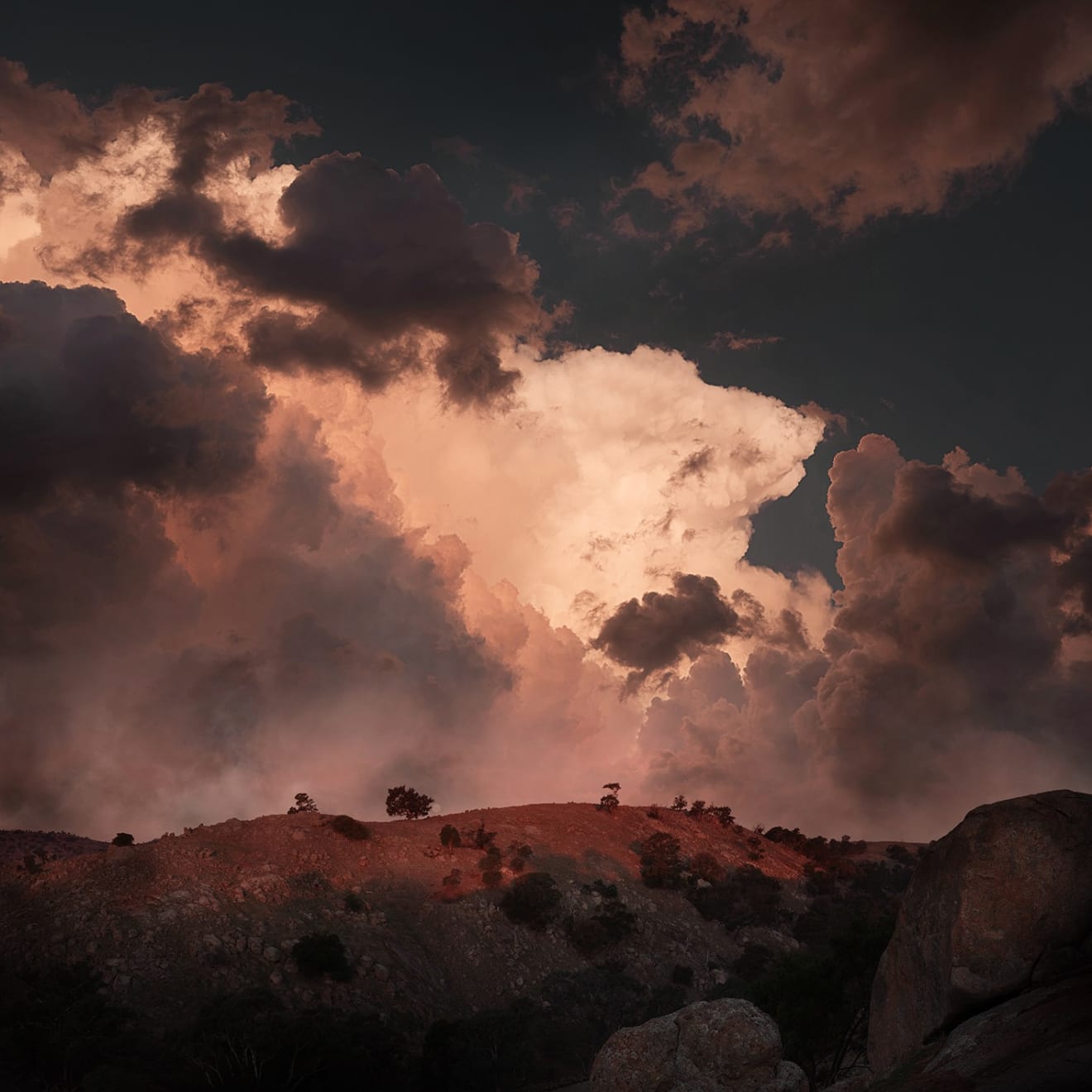 Lindsay Blamey, Resonance