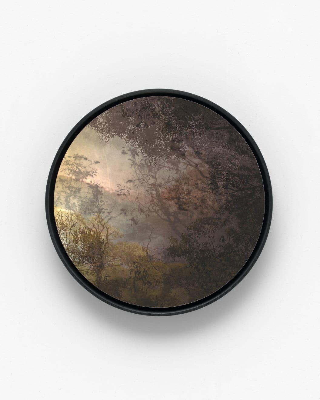 Sophia Szilagyi, Floating Through II