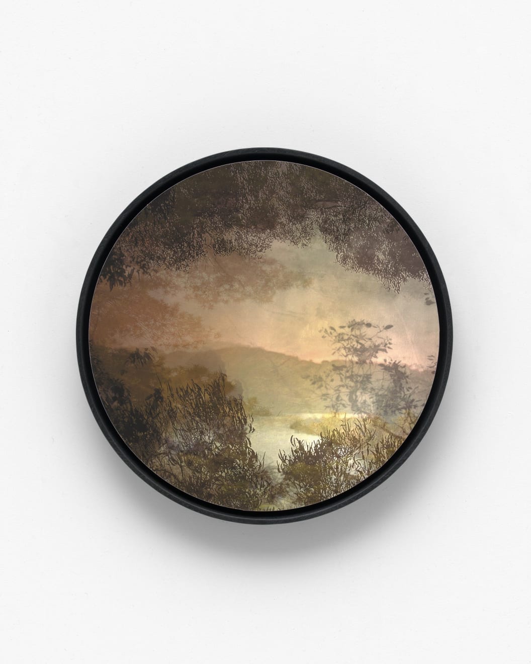 Sophia Szilagyi, Floating Through I