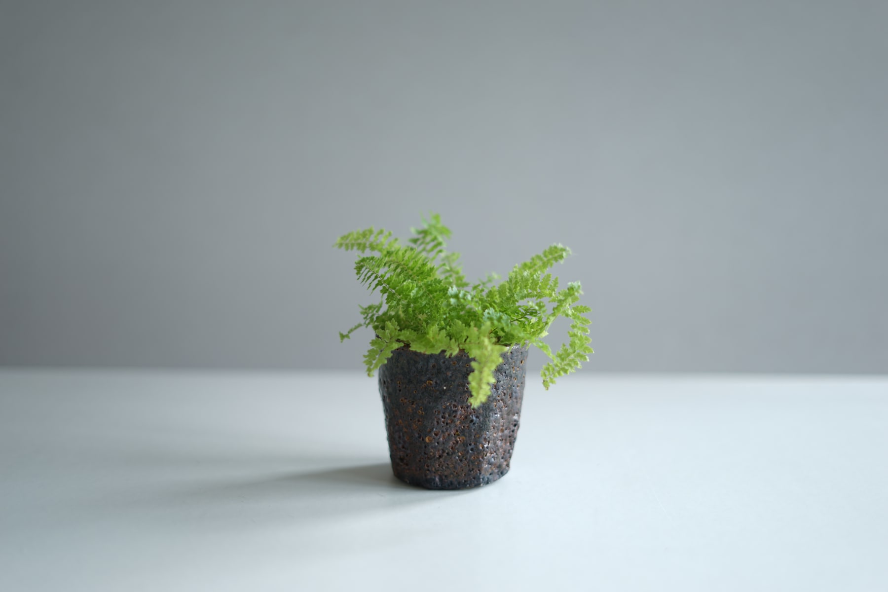 Hans Vangsø, Black Beaker